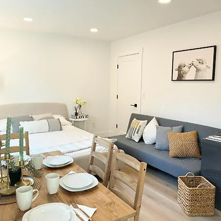 New Cozy Modern Studio Apartment